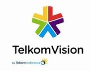 telkom vision
