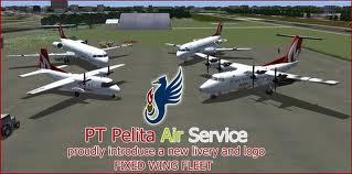 Pelita Air Service